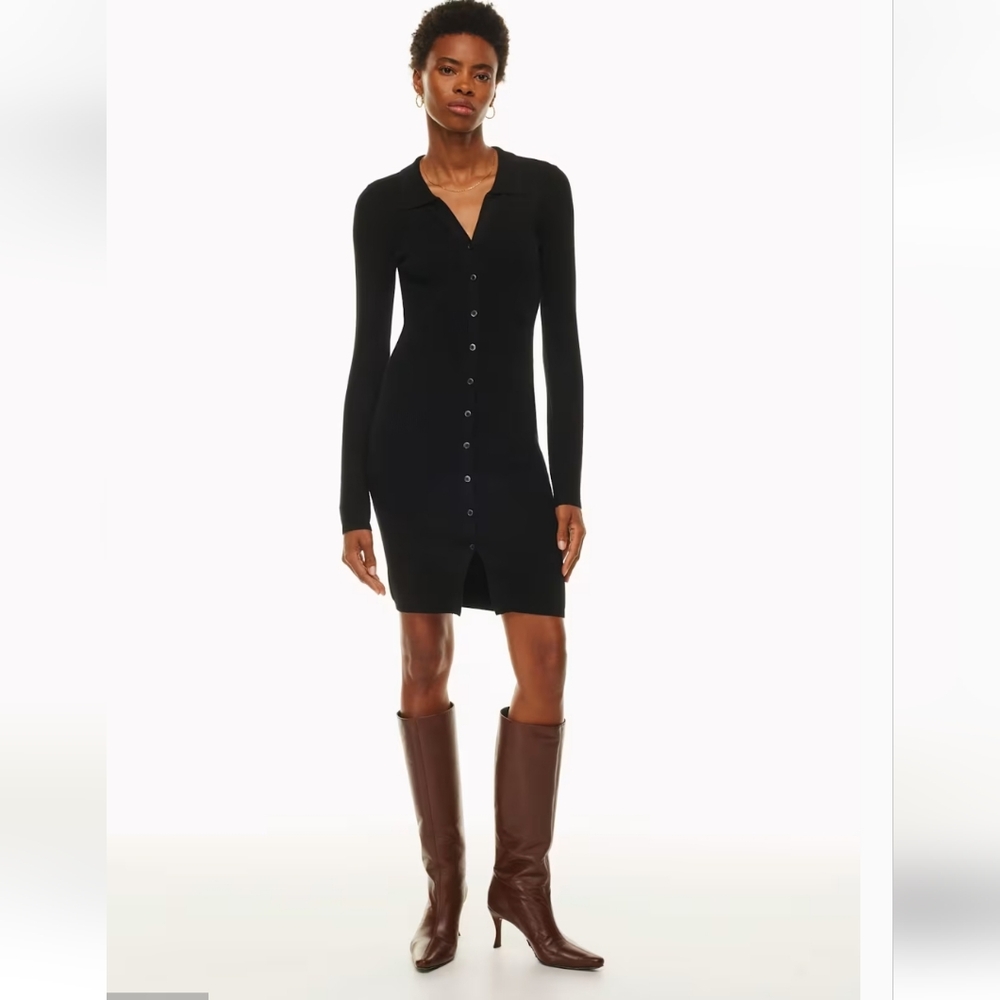 Arizia/Wilfred Sweater Button-Up Dress